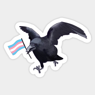 Transgender Pride Crow Friend Sticker